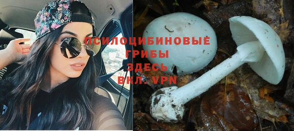 марихуана Пролетарск